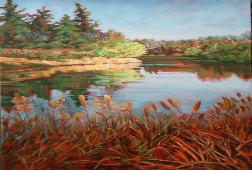 Shelley Page