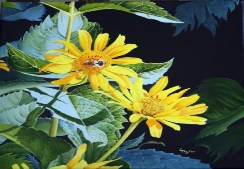 Cheryl Taylor