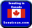 Scoutscan.com Logo