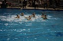 IMG_1425
