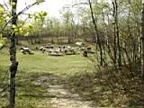 Picnic-Area-1.jpg