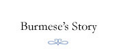 Burmese's Story
