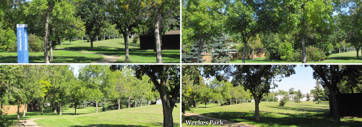 Weekes Park